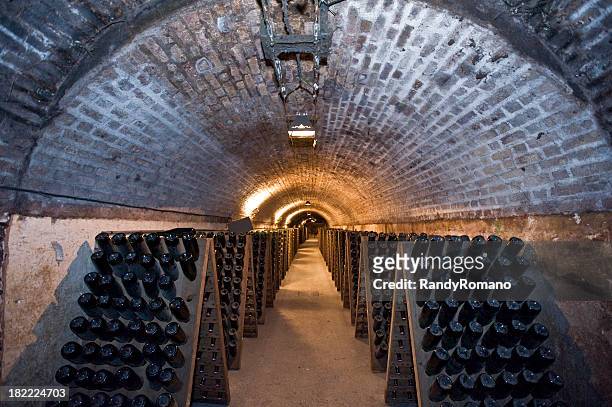 tunnel of champagne - källarvåning bildbanksfoton och bilder