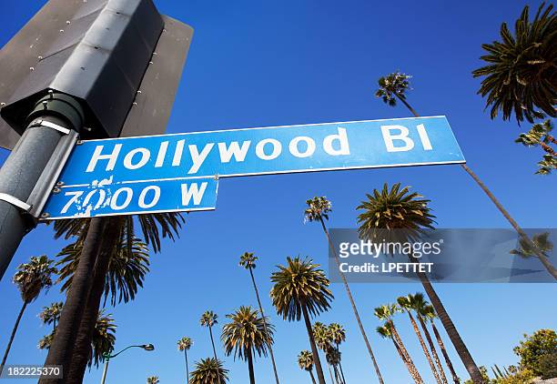 hollywood los angeles - hollywood sign stock pictures, royalty-free photos & images