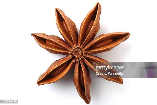 star anise - anise plant stock pictures, royalty-free photos & images