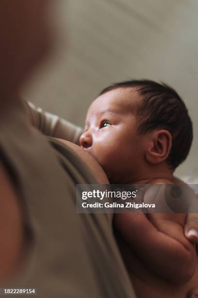 young mother breastfeeding your newborn baby boy at home - reinheit stock-fotos und bilder