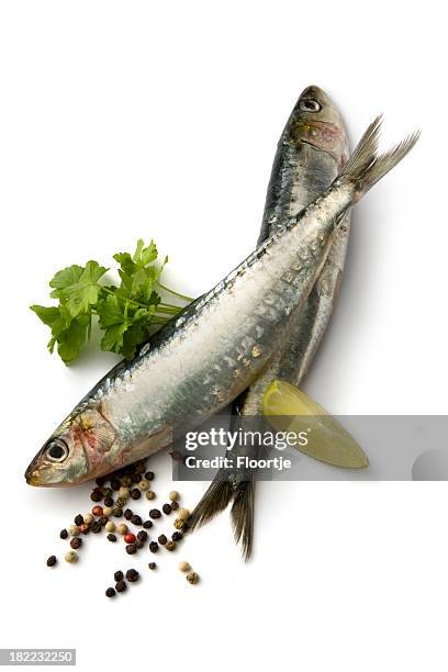 seafood: sardines - sardine stock pictures, royalty-free photos & images