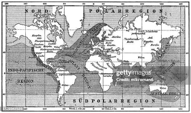 old engraved map of geographic map of the world (coastal fauna) - undersea world stock pictures, royalty-free photos & images