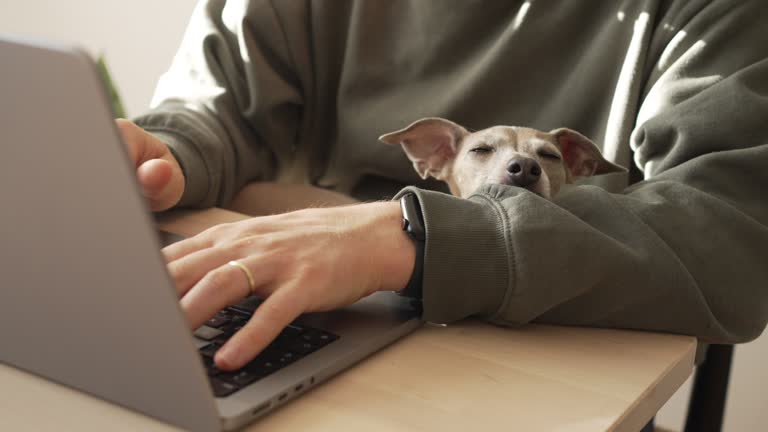 3,817 Dog Using Computer Stock Videos, Footage, & 4K Video Clips ...
