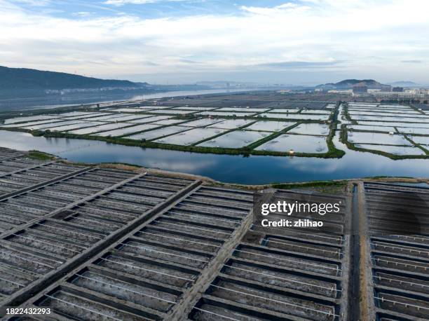 bird's-eye view of a shrimp farm - fish hatchery stock-fotos und bilder