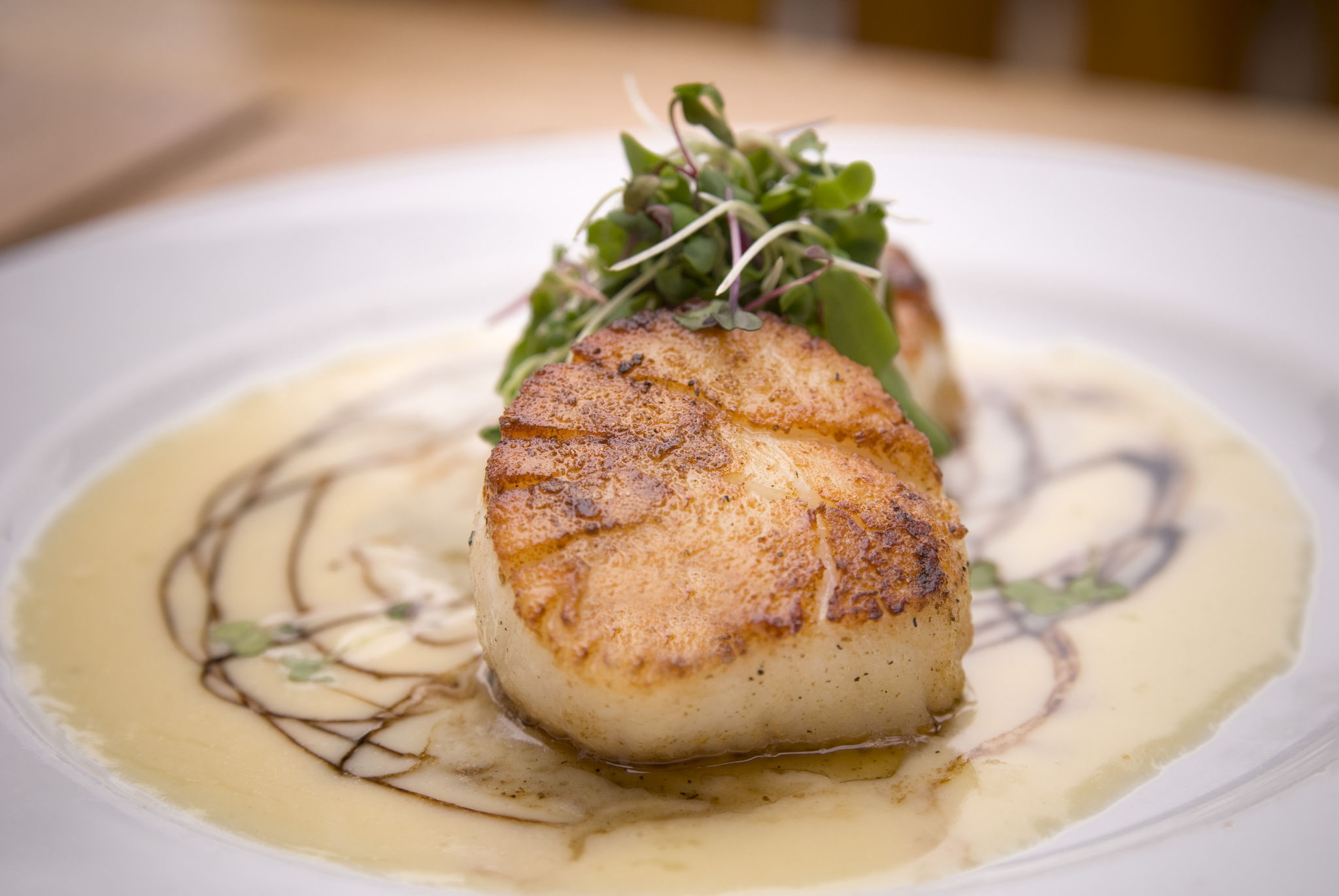 Sea Scallops Shellfish Seafood Dinner Sea Scallops Shellfish Seafood Dinner