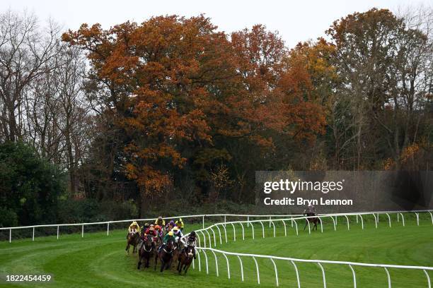 The runners and riders in the Try The Racing App This Afternoon Novices' Handicap Hurdle Race make their way around Lingfield Park on November 30,...