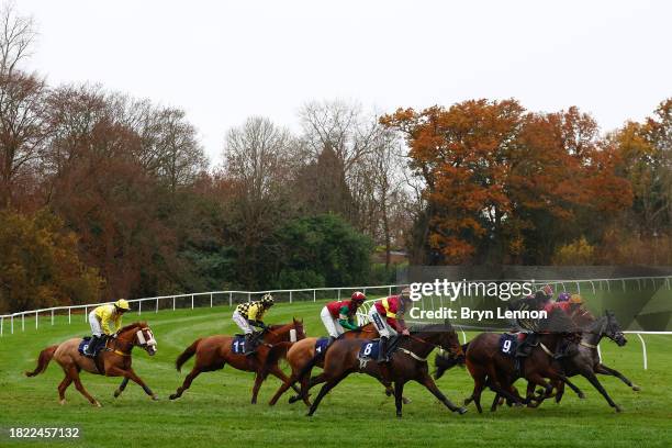 The runners and riders in the Try The Racing App This Afternoon Novices' Handicap Hurdle Race make their way around Lingfield Park on November 30,...