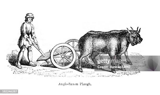 anglo saxon plough - ox cart stock illustrations