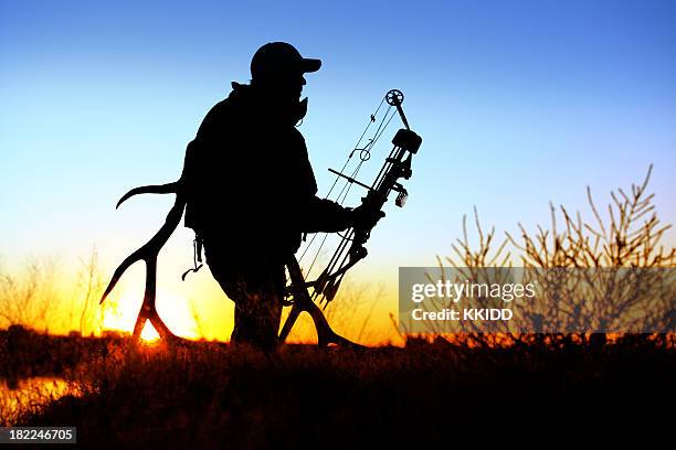 bow hunter - archery bow stock pictures, royalty-free photos & images