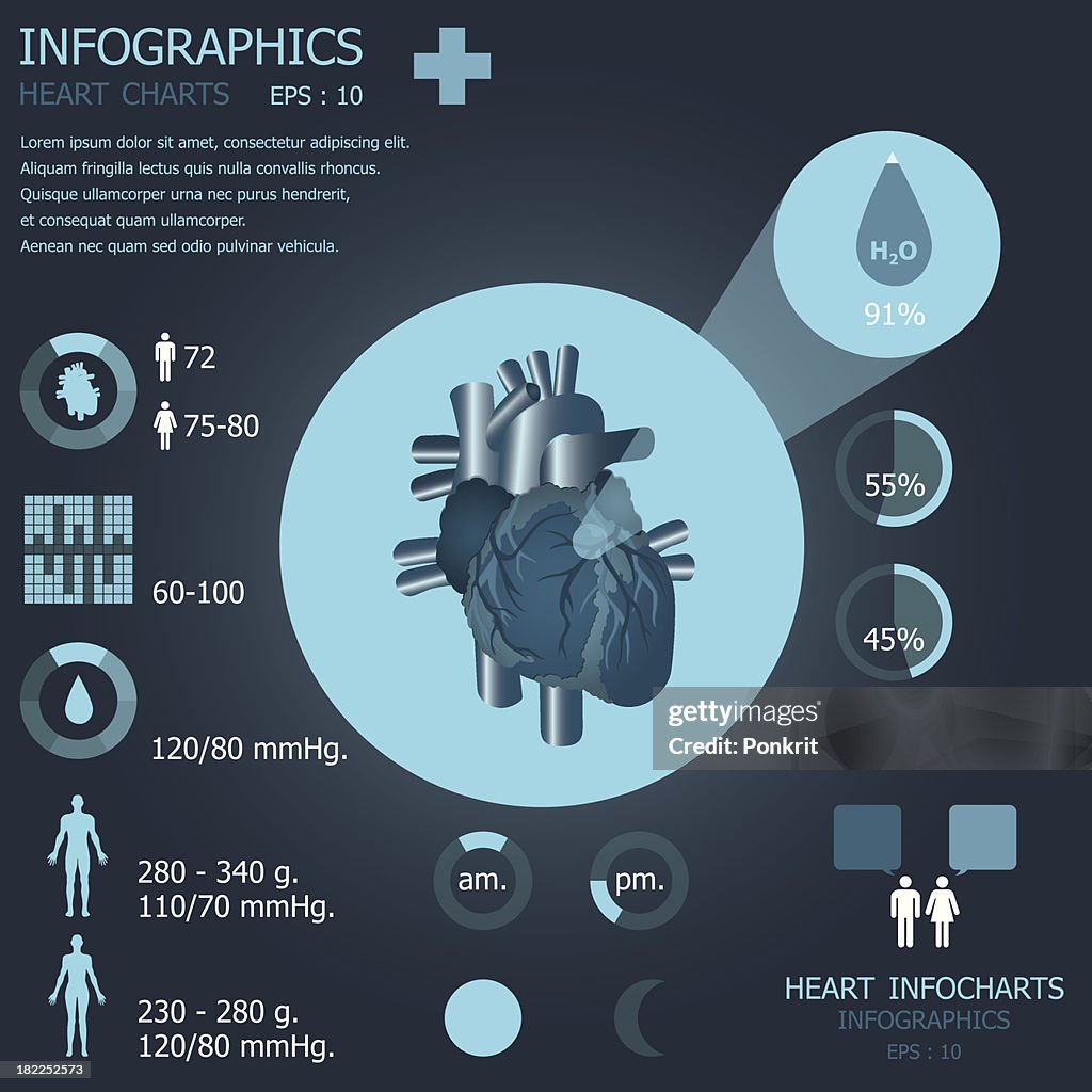 Heart Graphycs Heart Infographics Infocharts High-Res Vector Graphic - Getty Images