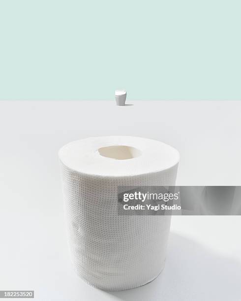 toilet bowl and toilet paper - トイレ　日本 ストックフォトと画像