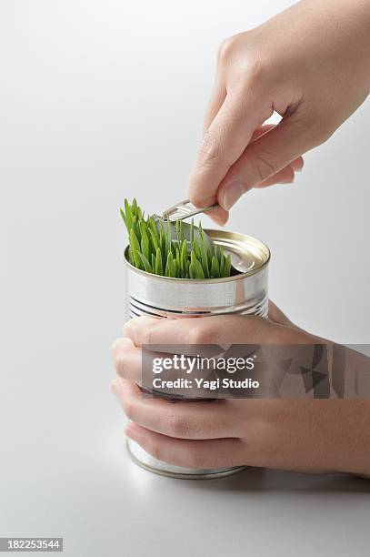 plants canned full - open tin can stock pictures, royalty-free photos & images