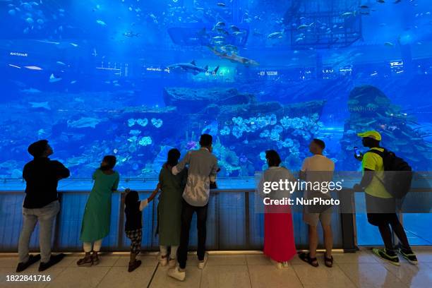 View of the Dubai Aquaruim at the Dubai Mall in Dubai, United Arab Emirates on November 29, 2023.
