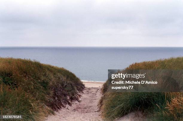 footpath to a beach on the north sea - north bildbanksfoton och bilder