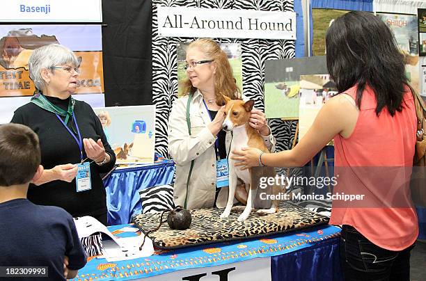 Guests learn about the Basenji breed at the American Kennel Club "Meet The Breeds" Event at Jacob Javitz Center on September 28, 2013 in New York...