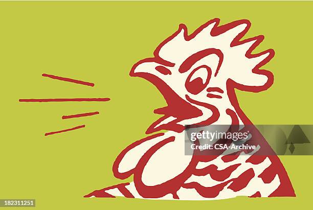 hahn - huhn geflügel stock-grafiken, -clipart, -cartoons und -symbole