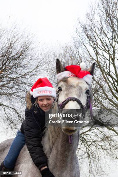 pretty teenage girl and her grey horse both wearing red and white santa hats, celebrating christmas season together and having fun. - adonis shropshire stock pictures, royalty-free photos & images