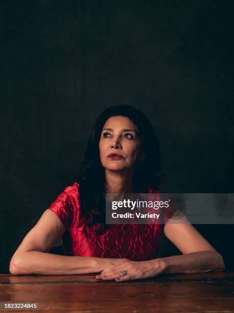 Shohreh Aghdashloo of 'The Promise'