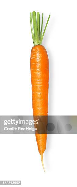 carrot single ohne leafs - diet carrot stock-fotos und bilder