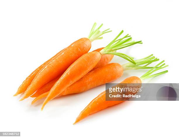 carotte minier sans leafs - carotte fond blanc photos et images de collection