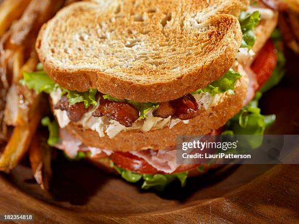 toasted club sandwich with french fries - big sandwich stock pictures, royalty-free photos & images