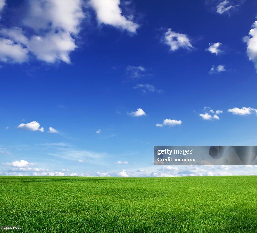 Green grass and blue skies with a few clouds