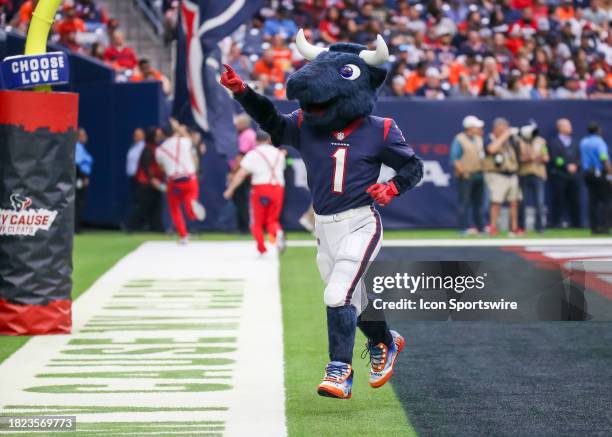 Toro Point 480 Houston Texans Mascot Stock Photos, High-Res Pictures, and Images ...