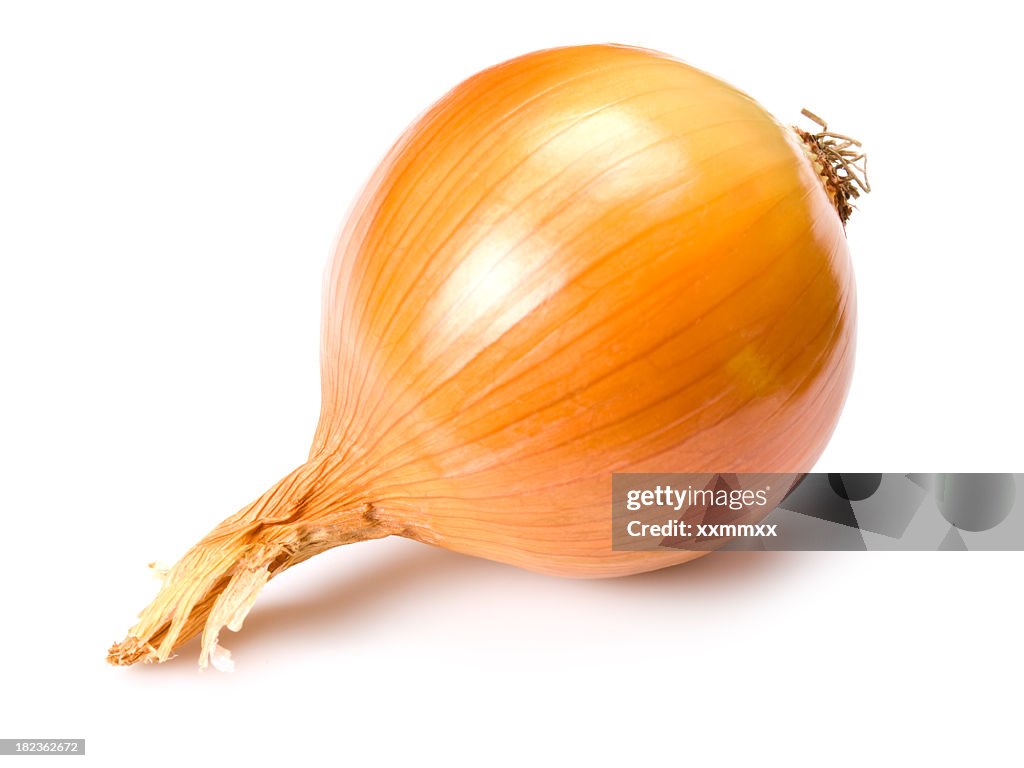 Perfect golden brown onion on a white background