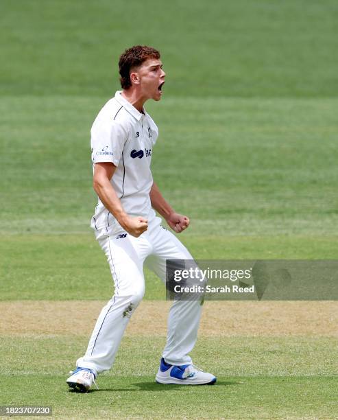 Mitchell Perry of the Bushrangers reacts to getting the last wicket of Wes Agar of the Redbacks, bowled for 46 runs during the Sheffield Shield match...