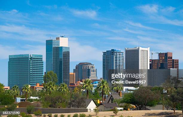 phoenix downtown skyline and palm trees - phoenix arizona stockfoto's en -beelden