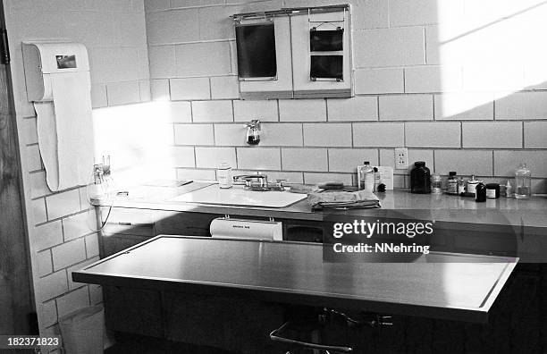 operating room in veterinary hospital 1959, retro - 1950 1959 stock pictures, royalty-free photos & images