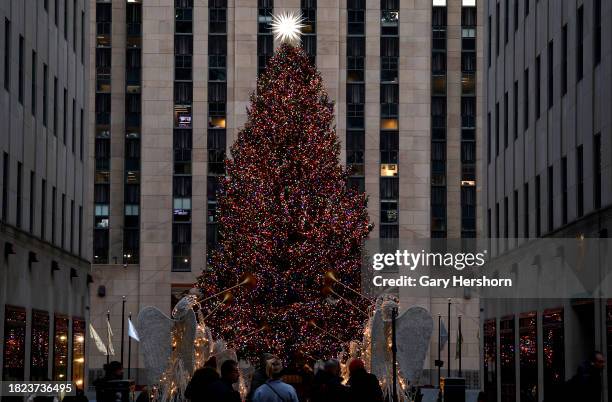 People look at the Rockefeller Center Christmas tree the morning after it was lit on November 30 in New York City.