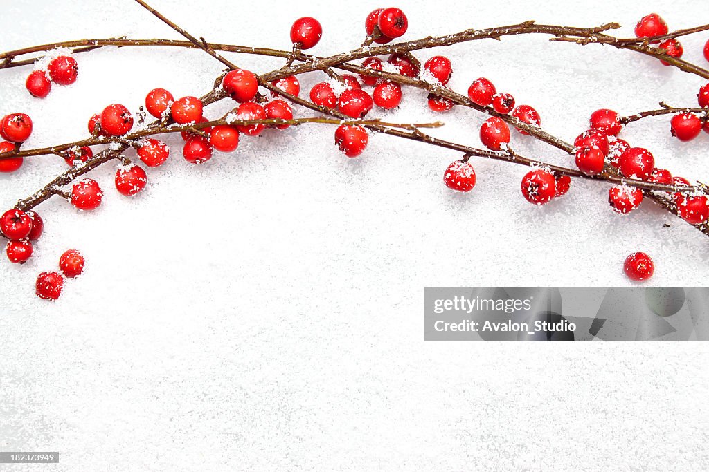 Elefanckie Christmas branches with red berries on snow