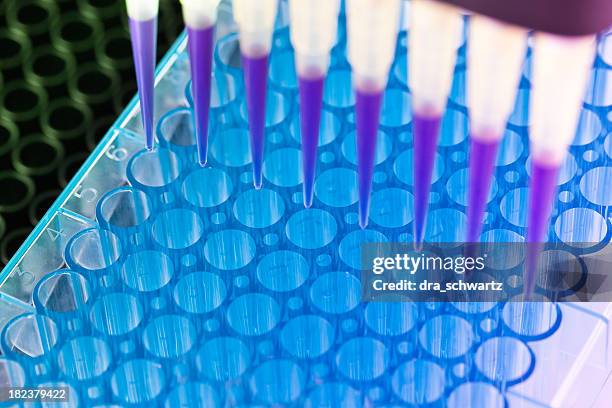 scientific experiment - medical test tubes stock pictures, royalty-free photos & images