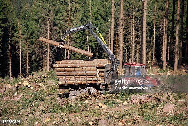forstwirtschaft - forest machine stock-fotos und bilder