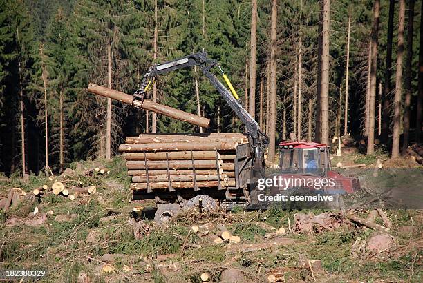 forestry - log-cutting-machine stock pictures, royalty-free photos & images