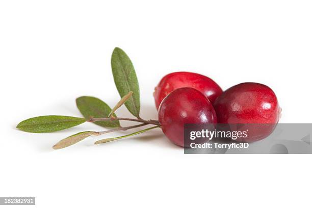 cranberry fruit and leaves, close up - cranberry stock pictures, royalty-free photos & images