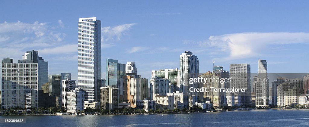 Miami Skyline