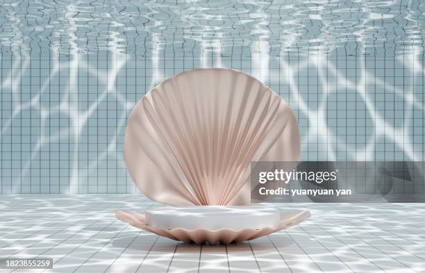 shell shape pedestal product background - scène sous l'eau photos et images de collection