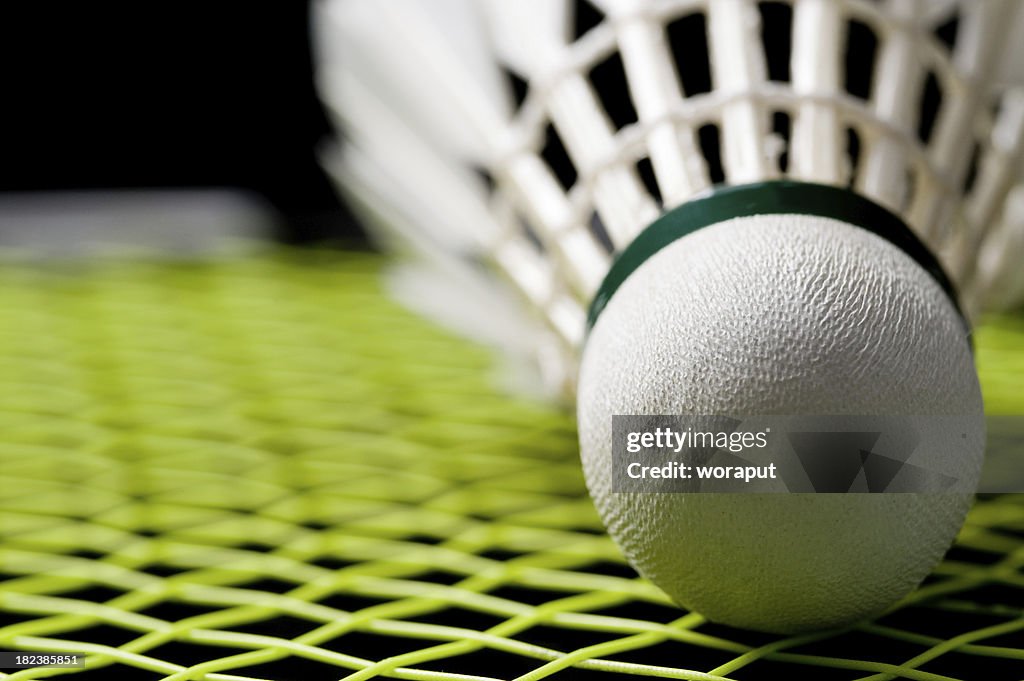 Badminton Federball