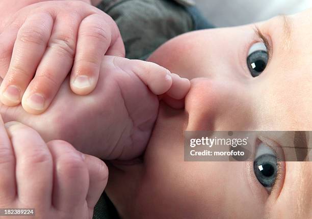 yummy toes - feet sucking stock pictures, royalty-free photos & images