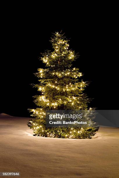 weihnachtsbaum mit weißen lichtern auf glitzernden schneebedeckte pisten - christmas lights isolated stock-fotos und bilder