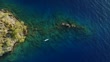 Woman Swimming On Stand Up Paddle Board View From Above Filmmaterial ...