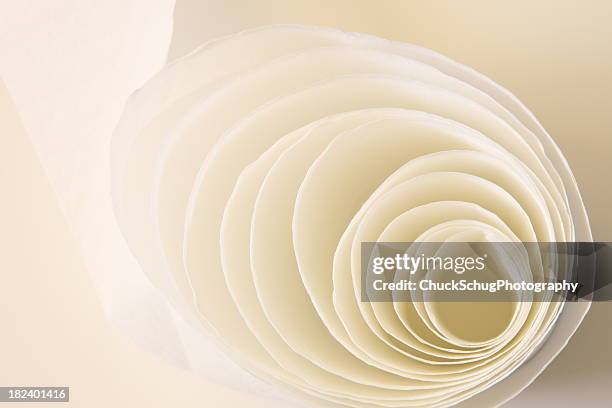 toilet tissue paper concentric rolls - monochrome bathroom stock pictures, royalty-free photos & images