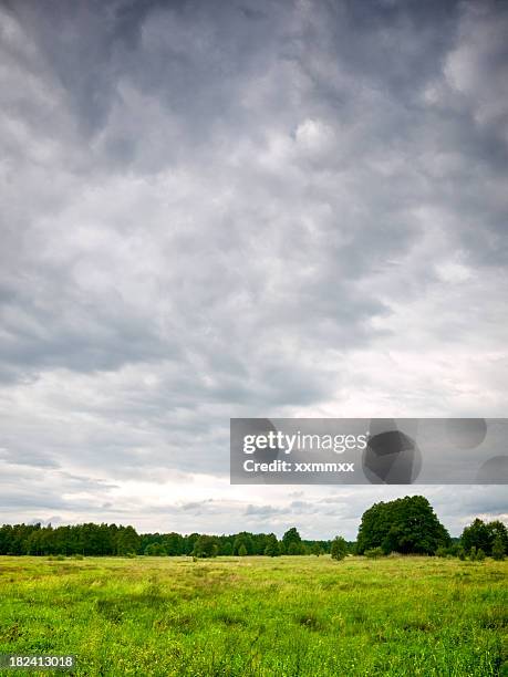 looking across a grass field as the storm clouds move in - cloudy sky bildbanksfoton och bilder