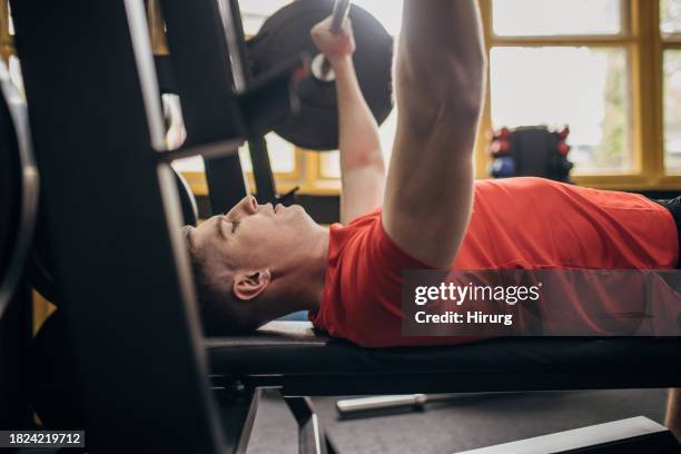 bench press training in gym - weight bench stock pictures, royalty-free photos & images