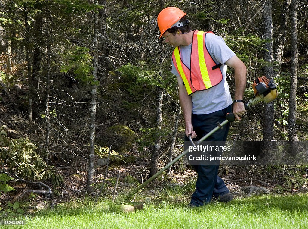 Man Mows Trims Grass Wearing Safety Equipment