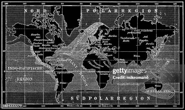 old engraved map of geographic map of the world (coastal fauna) - aquatic organism stock pictures, royalty-free photos & images