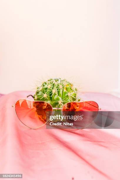 cactus with heart shape sunglasses - pink sunglasses stock pictures, royalty-free photos & images