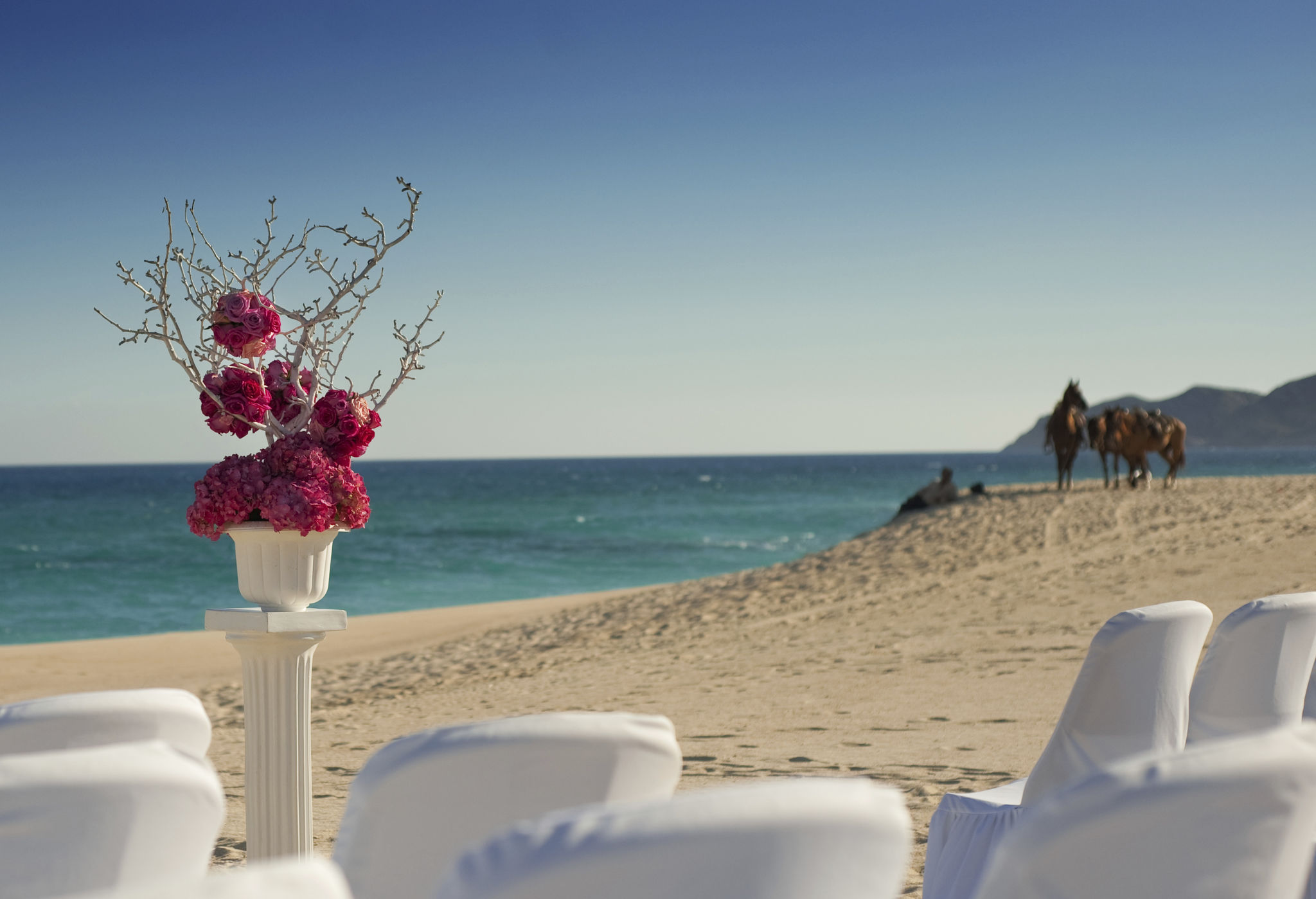 destination wedding DJ